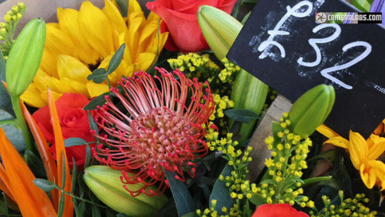 ¿Qué mejora representa la EOS R6 Mark II de Canon para el trabajo fotográfico?