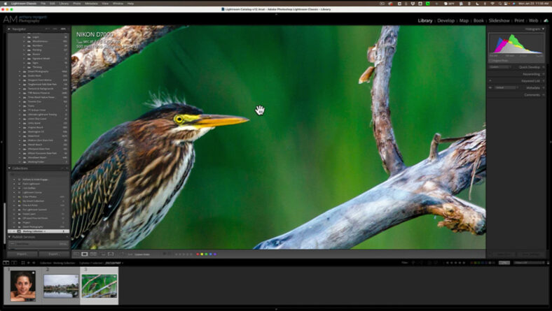 ¿Qué funciones te gustaría ver en Lightroom?