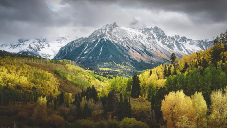El proceso de cambio al formato medio