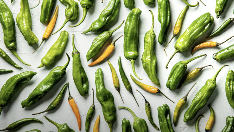 Hard Light: ¡merece la pena probarlo!