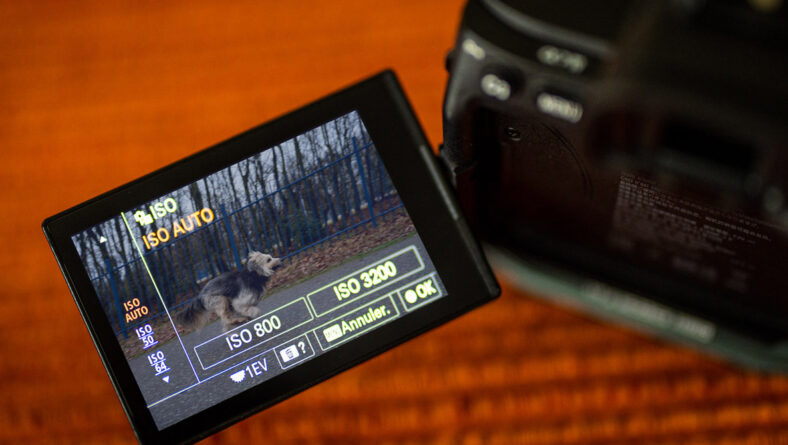 Cómo usar la configuración ISO automática de la mejor manera posible